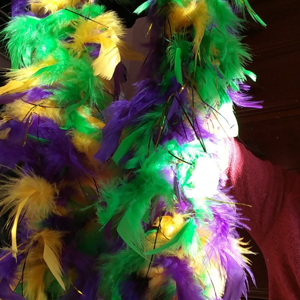 Mardi gras boa